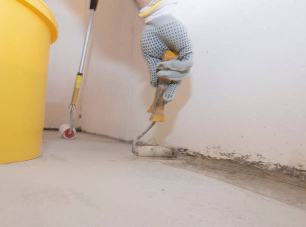 Best Pest Prevention Services  in Salmon Brook, CT